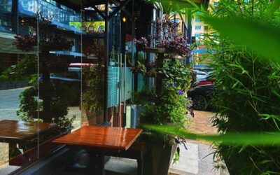 Lagos suya spot